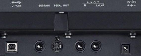 Yamaha P-125 Connections