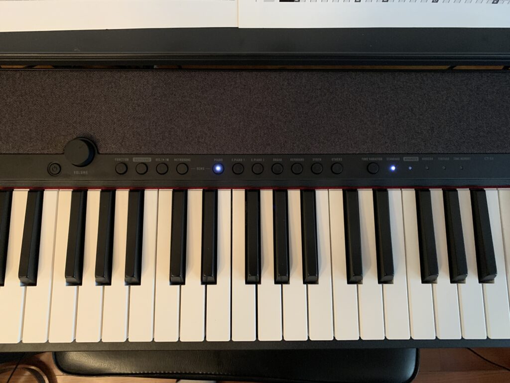 Casiotone CTS-1 Buttons