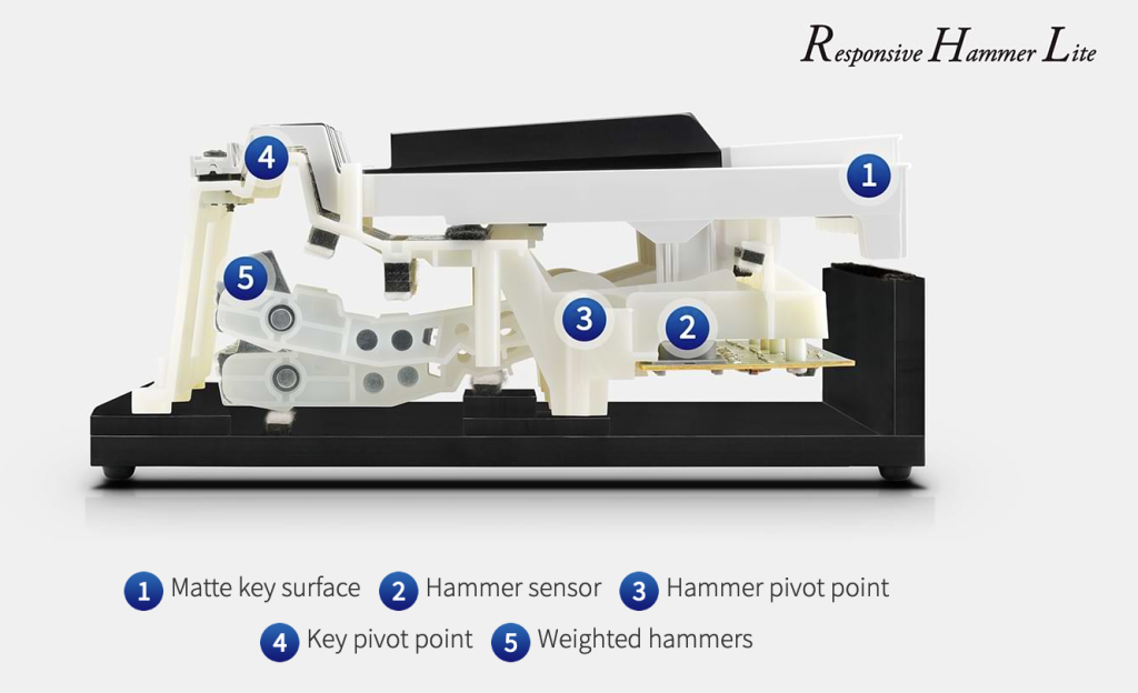 Kawai ES60 Action