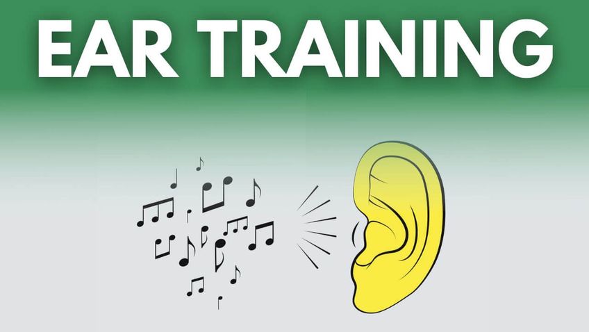 Birds Ear Training