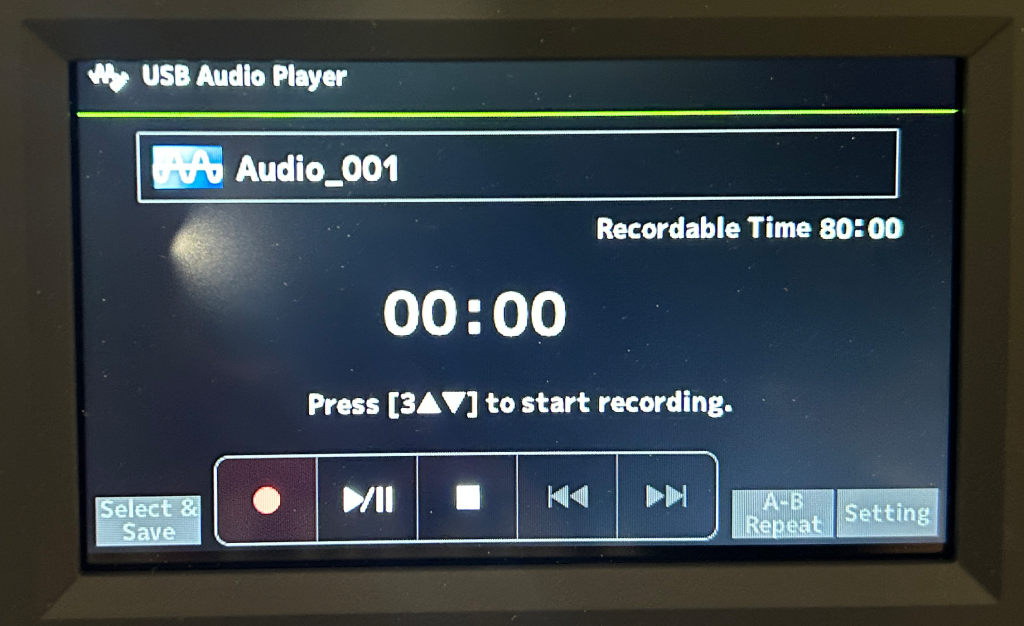 PSR-SX620: Audio Recorder